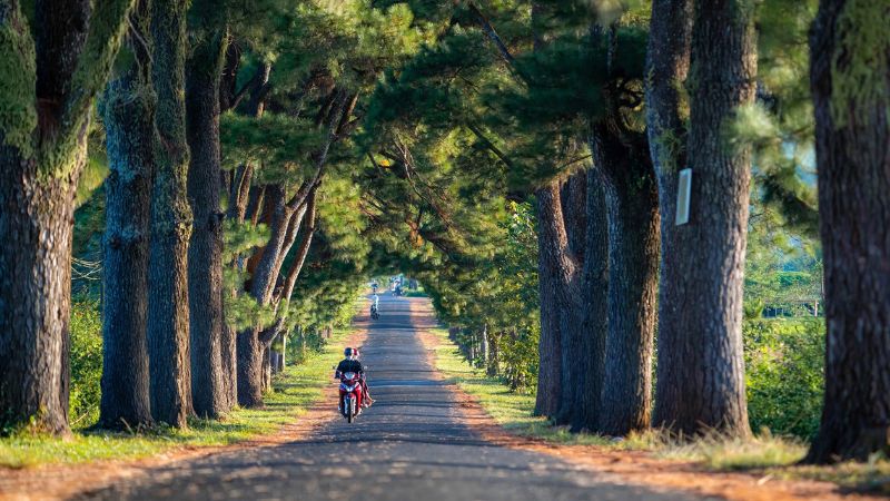 Những lưu ý khi du lịch Gia Lai 3 ngày 2 đêm