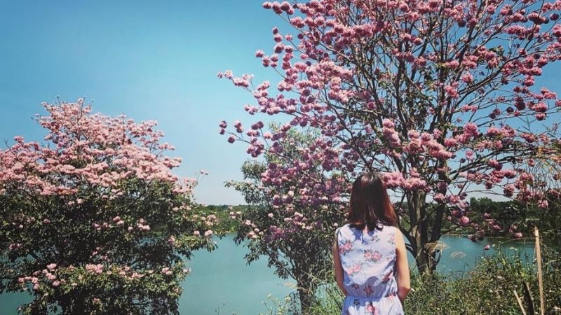 Thời điểm để tham quan hồ Nam Phương