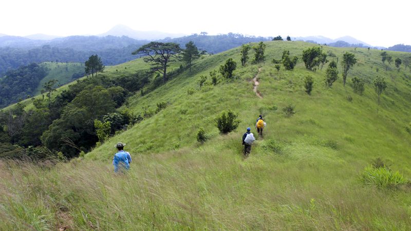 Từ Đồi Lính xuống Phan Dũng