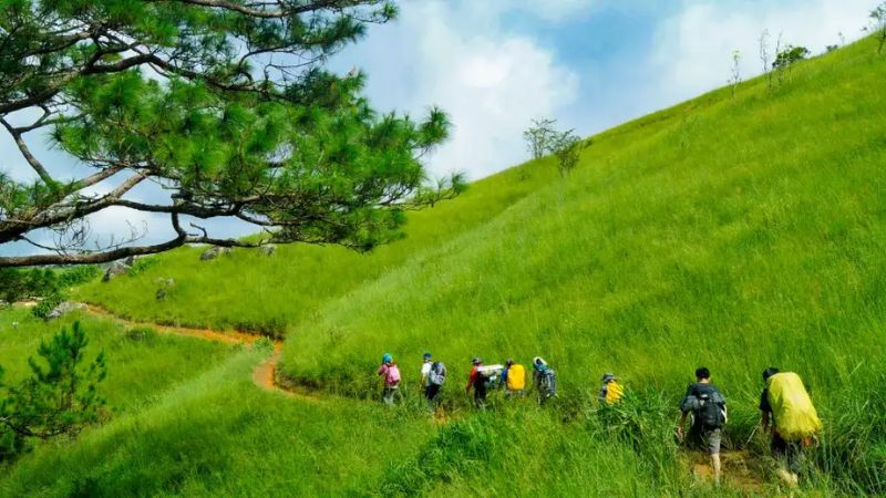 Tà Năng - Phan Dũng mùa cỏ xanh 