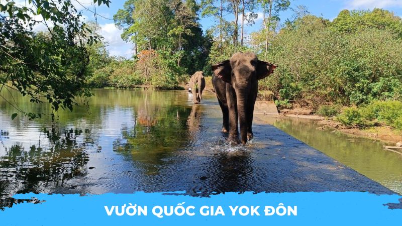 Khám phá vườn quốc gia Yok Đôn