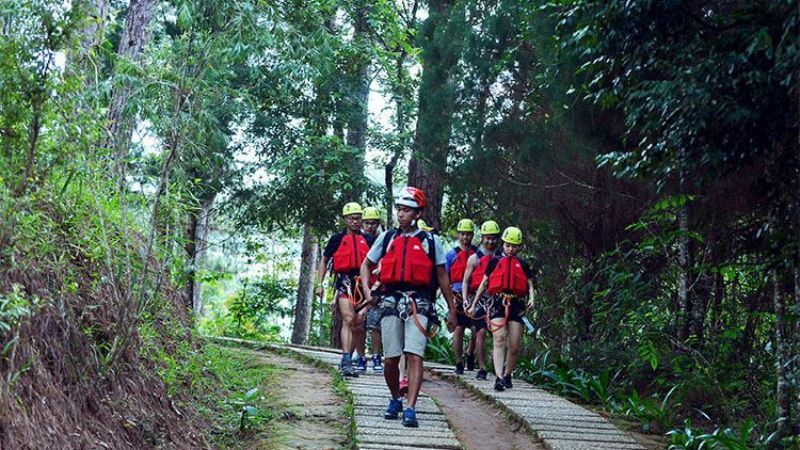 Trải nghiệm tản bộ xuyên rừng tại thác Datanla