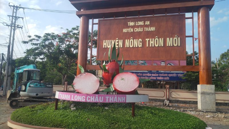 Thanh long huyện Châu Thành tỉnh Long An
