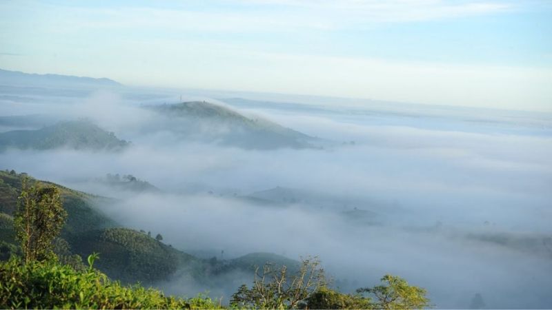 Săn mây tại đồi Bát Úp Bảo Lộc