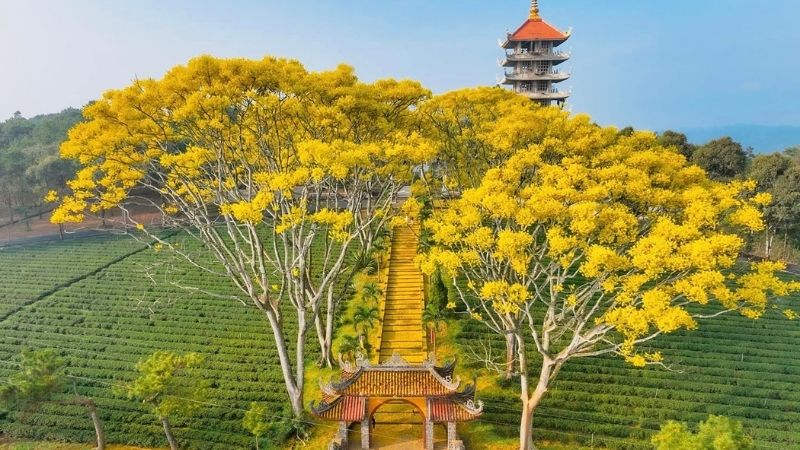 Mùa hoa phượng tại chùa Bát Nhã Bảo Lộc