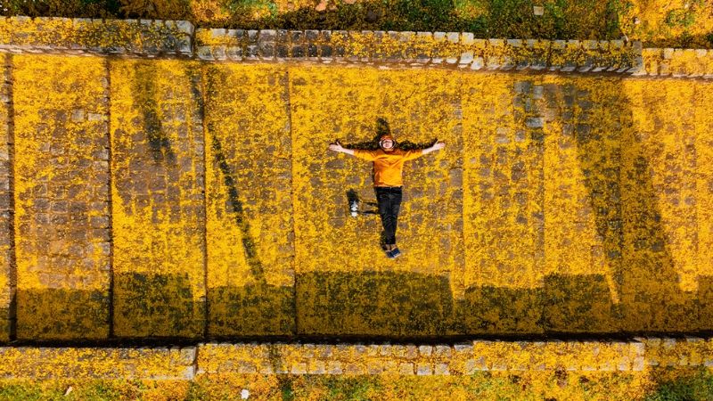 Du khách checkin, tạo dáng khi đến tu viện mùa hoa phượng