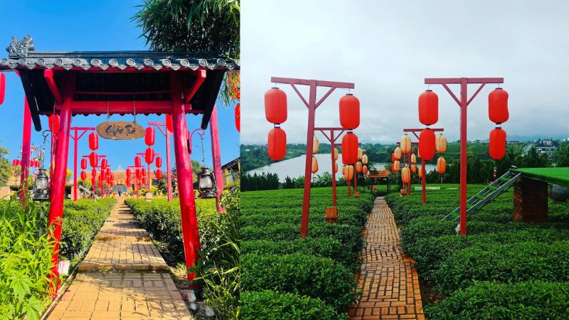 Con đường đèn lồng đỏ rực tại chùa Trà Bảo Lộc