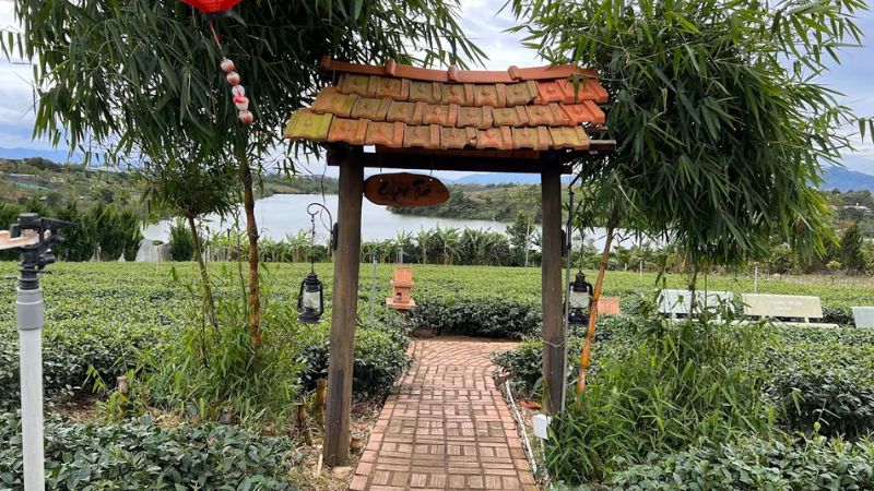 Khung cảnh thiên nhiên của chùa Trà