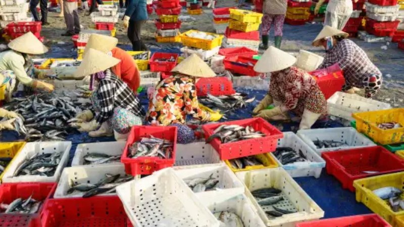 Chợ xổm Phú Yên