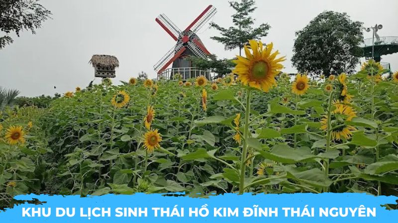 Khu du lịch sinh thái Hồ Kim Đĩnh Thái Nguyên