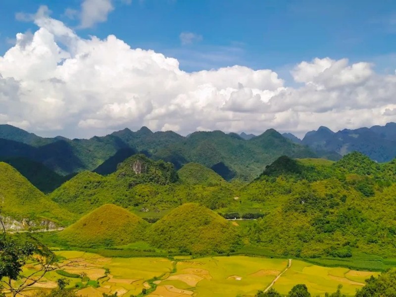 Mùa lúa chín tại Núi Đôi Cô Tiên