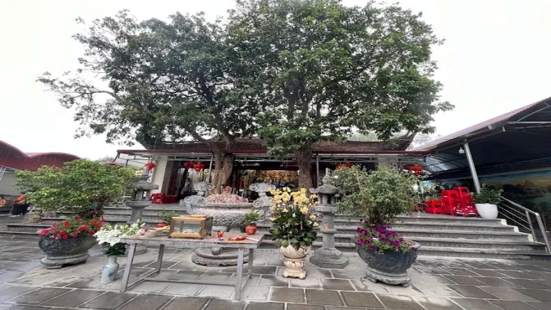 Cảnh quan bên ngoài Đền Chầu Lục mang vẻ đẹp thanh bình, linh thiêng