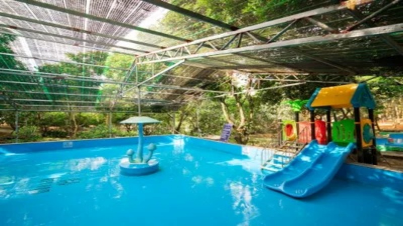 Khu vực bể vầy