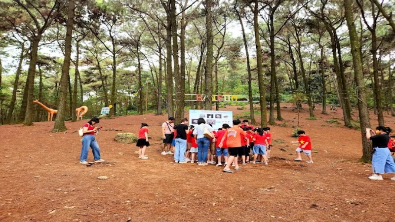 Du khách có thể dạo mát trong vườn cây, khám phá rừng thông 