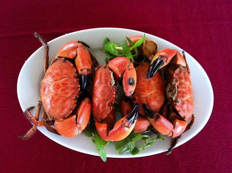 Cù Kỳ là một loại cua biển đặc trưng và nổi tiếng của vùng biển Quảng Ninh với phần thịt ở hai càng rất chắc