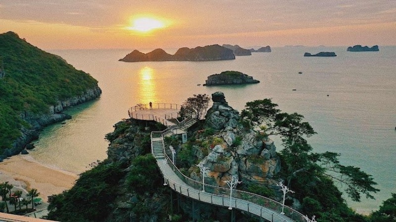 Cầu Mây là một công trình đường dạo trên cao nối liền ba tòa nhà của khu nghỉ dưỡng Flamingo Cat Ba Beach Resort