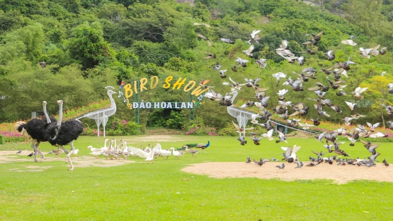 Đảo Hoa Lan mang vẻ đẹp êm đềm với cảnh quan đa dạng