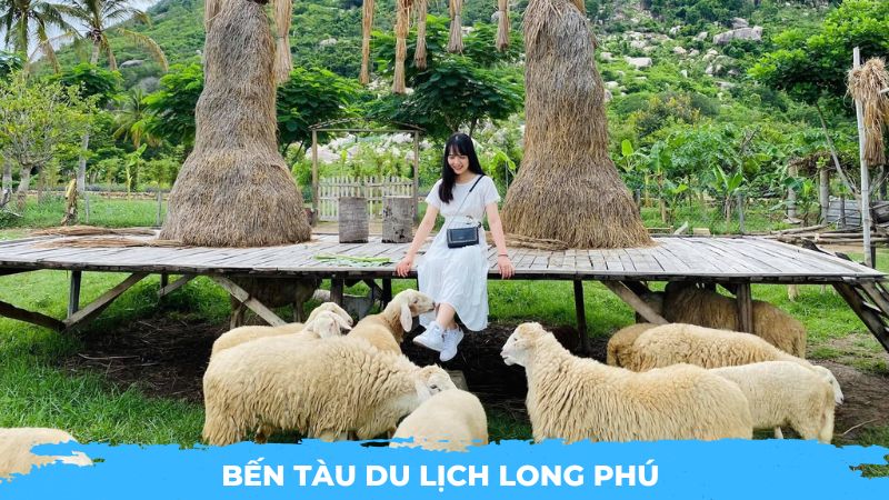 Bến tàu du lịch Long Phú