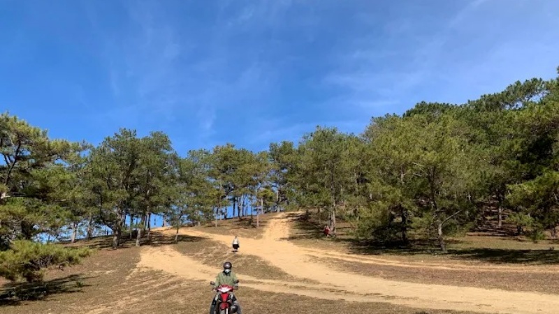 Hãy kiểm tra kỹ phương tiện khi bắt đầu chinh phục con đường đến cây thông cô đơn