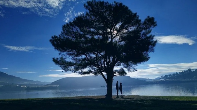 Nơi đây thường xuyên đón tiếp rất nhiều nhóm bạn và cặp đôi đến cắm trại, chụp ảnh