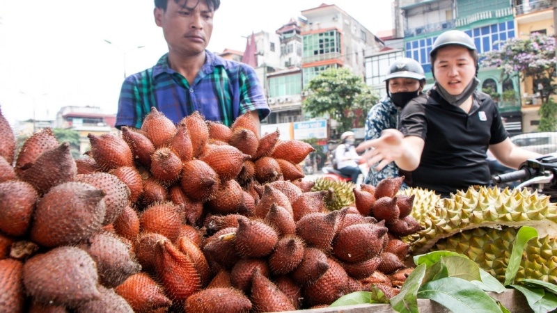M&acirc;y Th&aacute;i hay c&ograve;n gọi l&agrave; quả da rắn, l&agrave; một loại tr&aacute;i c&acirc;y nhiệt đới c&oacute; nguồn gốc từ Indonesia