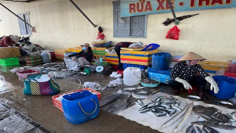 Để chọn được hải sản tươi ngon tại Chợ Long Hải, bạn n&ecirc;n đến v&agrave;o l&uacute;c s&aacute;ng sớm