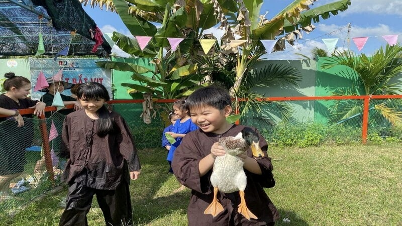 Công viên nước Rio mở cửa hàng ngày từ 6 giờ sáng đến 6 giờ chiều