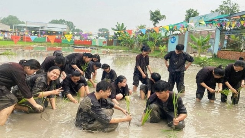 Du khách sẽ được trang bị quần áo bà ba và lội xuống ruộng bùn, tự tay cấy từng cây mạ non vào luống