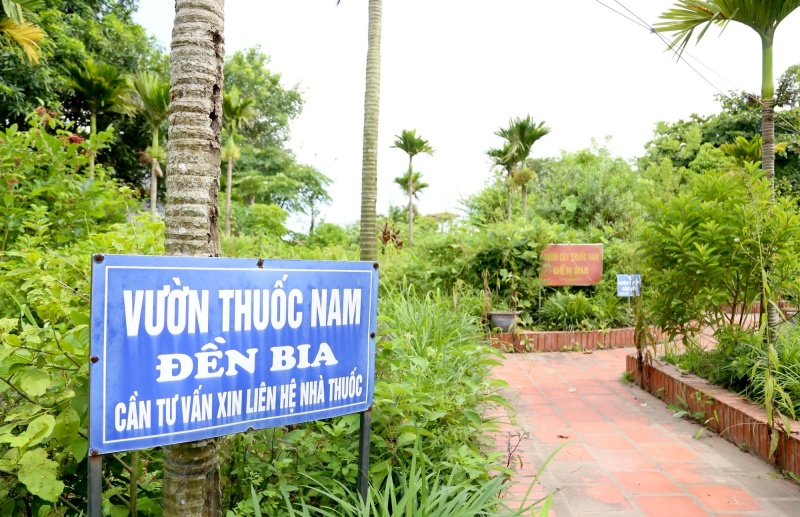 Tính đến năm 2026, khu vườn thuốc Nam tiếp tục được duy trì và phát triển 