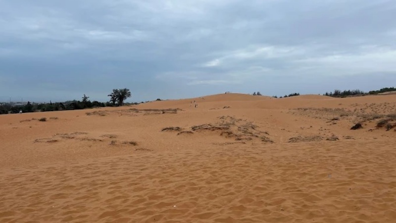 Tận hưởng khung cảnh sa mạc mini rộng lớn và gió biển mát mẻ tại Đồi Cát Đỏ