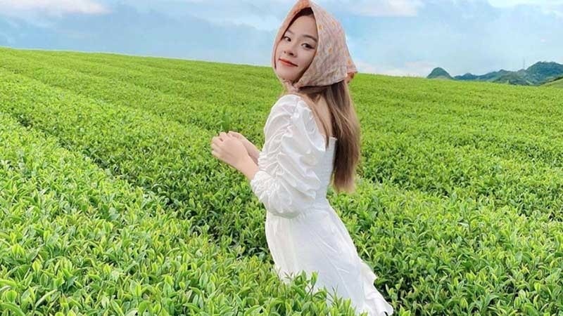 Khung cảnh m&ugrave;a xu&acirc;n rực rỡ với những b&uacute;p ch&egrave; non xanh mướt