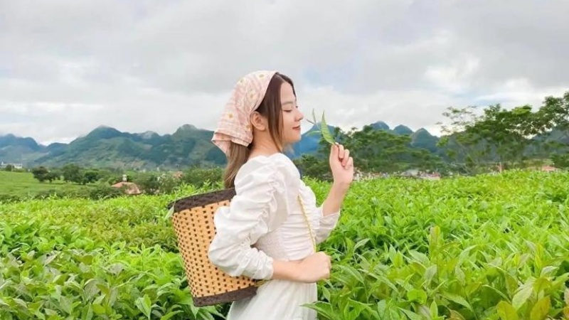 M&ugrave;a thu l&agrave; m&ugrave;a ch&egrave; đẹp nhất trong năm&nbsp;