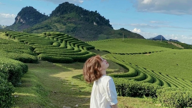 Khi đi đồi ch&egrave; Tr&aacute;i tim Mộc Ch&acirc;u n&ecirc;n chọn quần &aacute;o nhẹ nh&agrave;ng, thoải m&aacute;i để dễ d&agrave;ng di chuyển