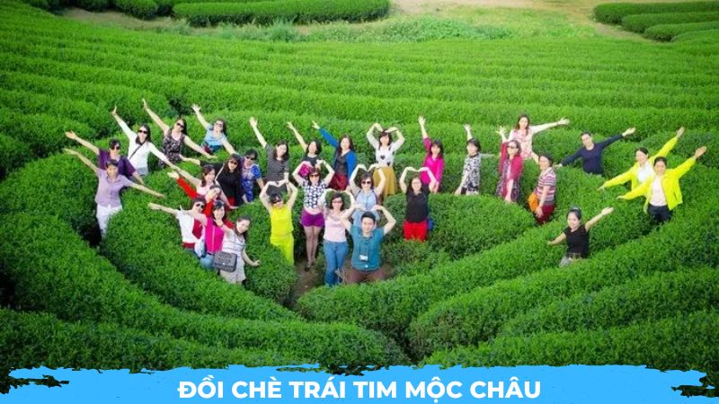 Đồi chè trái tim Mộc Châu