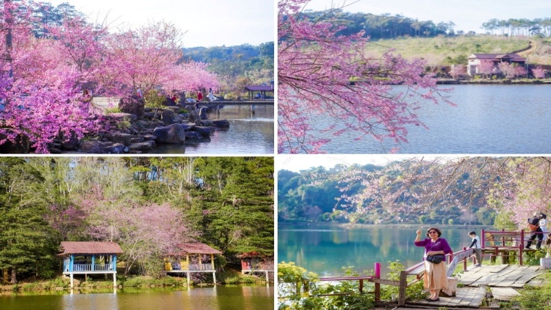 Hồ đẹp nhất v&agrave;o khoảng th&aacute;ng 1 đến th&aacute;ng 2, l&uacute;c n&agrave;y hoa đ&agrave;o bắt đầu nở rộ quanh hồ