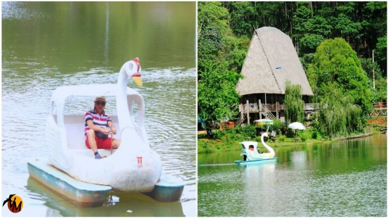 Bạn c&oacute; thể thu&ecirc; thuyền vịt dạo chơi giữa l&ograve;ng hồ để tận hưởng kh&ocirc;ng kh&iacute; trong l&agrave;nh