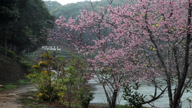 Hồ Đăk Ke l&agrave; một trong những điểm du lịch nổi tiếng nhất tại thị trấn Măng Đen, huyện Kon Pl&ocirc;ng, tỉnh Kon Tum