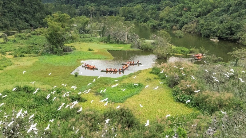 Khu du lịch Mùa Xuân Hậu Giang nổi tiếng là một trong những sân chim tự nhiên lớn nhất khu vực miền Tây