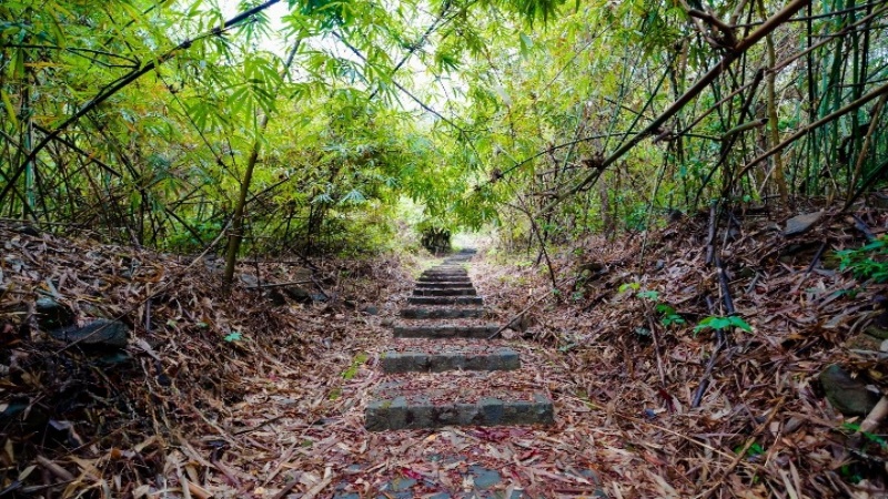 1.767 bậc tam cấp bằng đá của núi Bà Rá