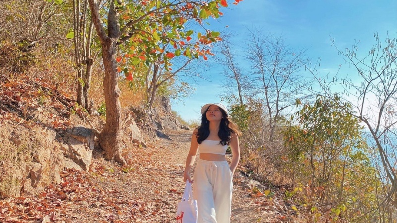 Sống ảo tại Hẻm 444 Trần Ph&uacute;