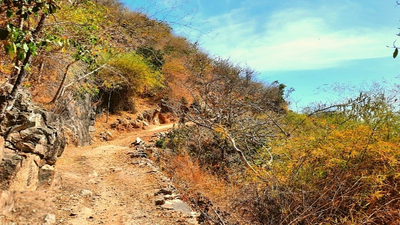 N&uacute;i Viba Vũng T&agrave;u l&agrave; một điểm đến nổi tiếng, thu h&uacute;t du kh&aacute;ch bởi khung cảnh thi&ecirc;n nhi&ecirc;n h&ugrave;ng vĩ