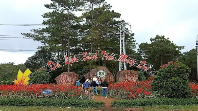 Rừng thông Măng Đen nằm tại huyện Kon Plông, tỉnh Kon Tum