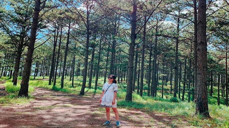 Bạn cần di chuyển đến Thành phố Kon Tum hoặc Thành phố Pleiku sau đó đến rừng thông Măng Đen