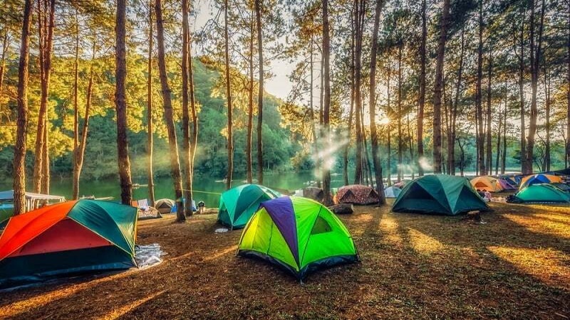 Rừng thông Măng Đen sở hữu nhiều bãi đất trống rất thích hợp cho hoạt động camping