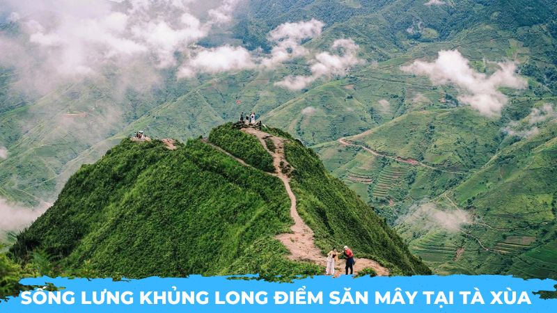 Sống lưng khủng long điểm săn mây tại Tà Xùa