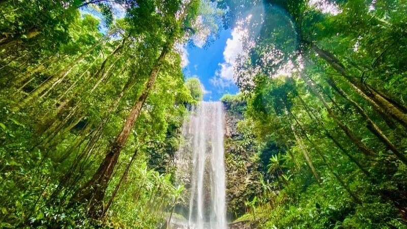 Thác Pa Sỹ được mệnh danh là ngọn thác lớn nhất vùng