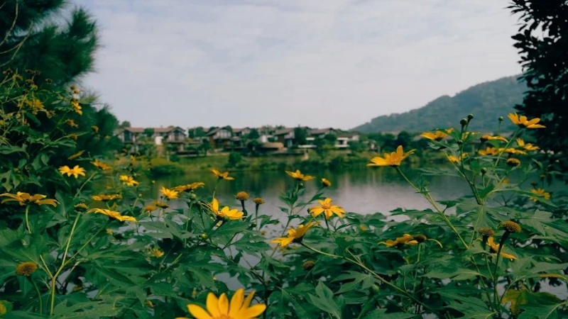 Thung lũng Bản Xôi Ba Vì