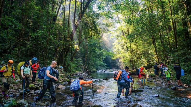 Rừng Bidoup - Núi Bà sở hữu 1561 loài thực vật có mạch thuộc 5 ngành, 161 họ, 861 chi