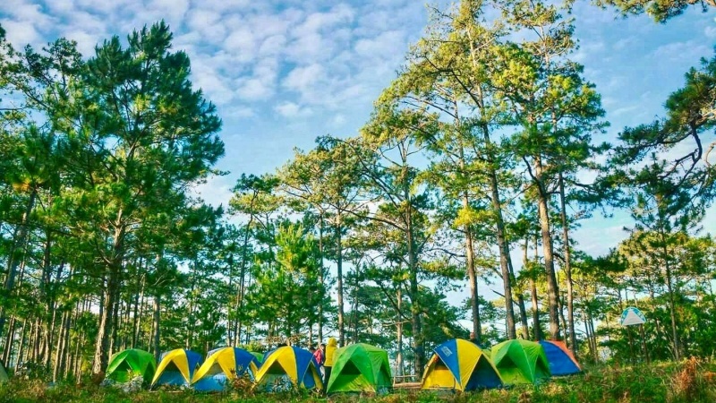 Bạn có thể cắm trại ngay trong Vườn quốc gia Bidoup Núi Bà