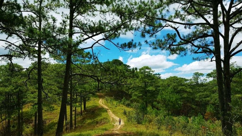 Vườn quốc gia Bidoup Núi Bà cao 2.287m